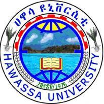 hawassa