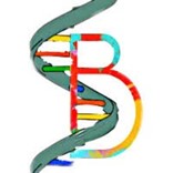simbioen